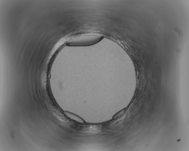 X0000111450056200908241215