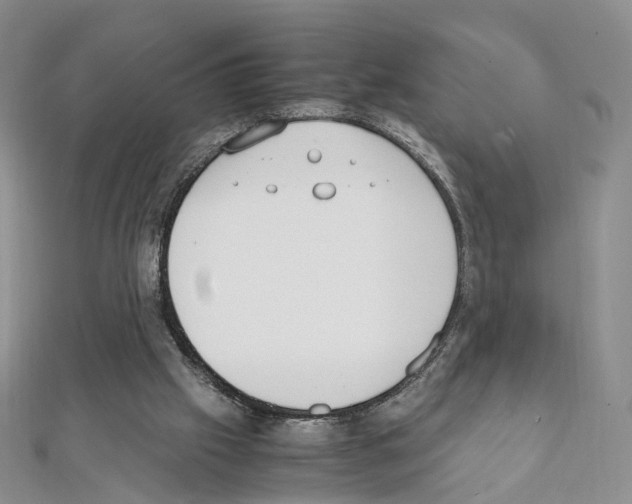 X0000111450057200908241215