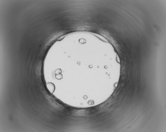 X0000111450058200908241215