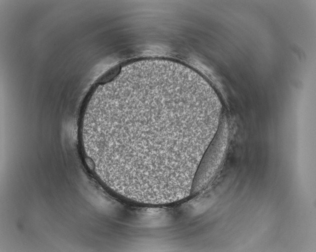 X0000111450060200908241215