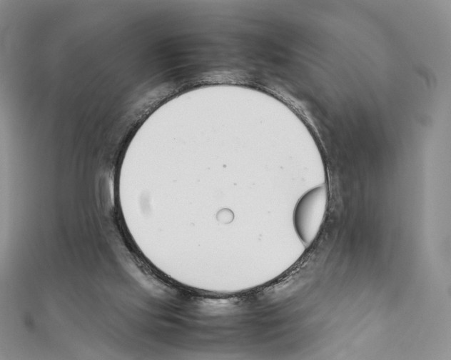 X0000111450061200908241215