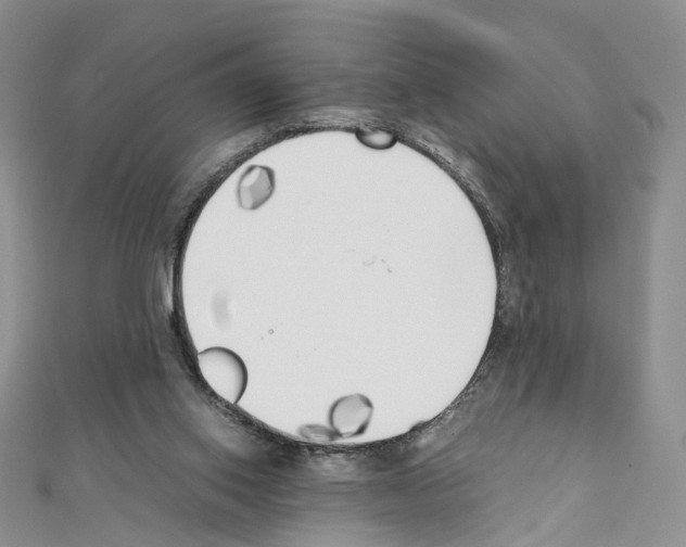 X0000111450062200908241215