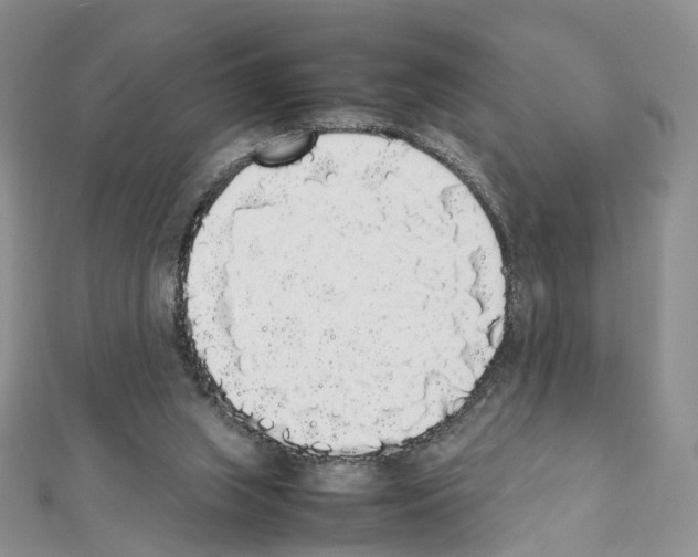 X0000111450063200908241215