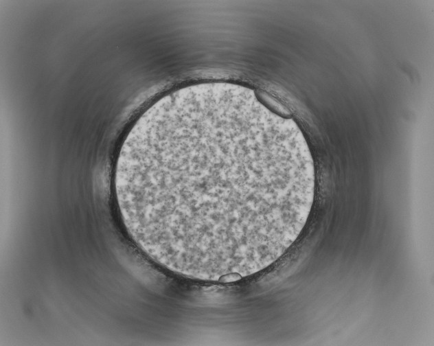 X0000111450064200908241215
