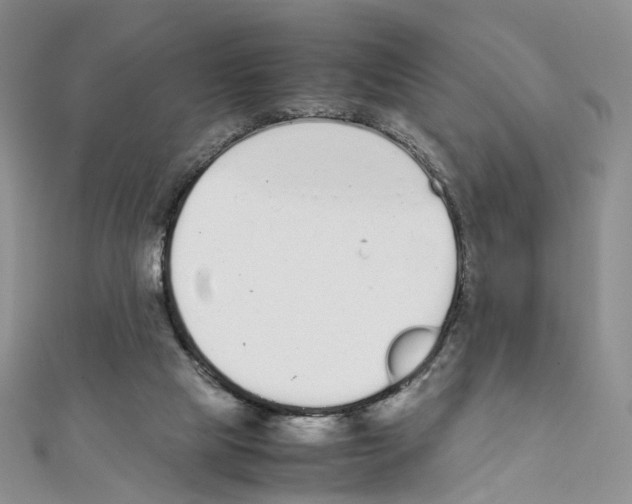 X0000111450065200908241215