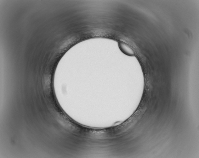 X0000111450066200908241215