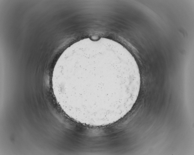X0000111450067200908241215
