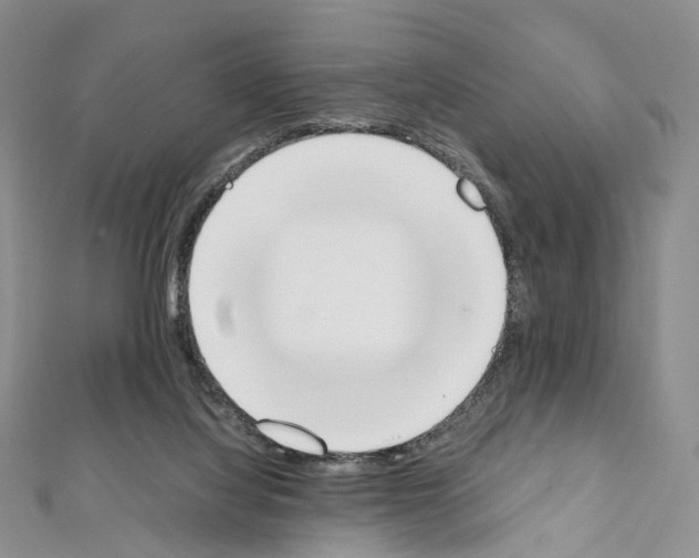 X0000111450068200908241215