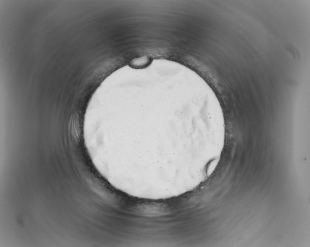 X0000111450069200908241215
