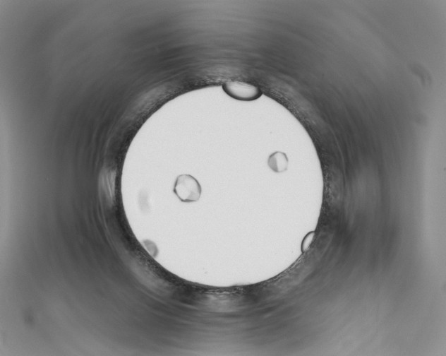 X0000111450070200908241215