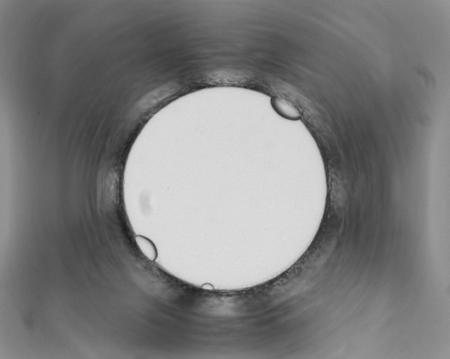X0000111450071200908241215