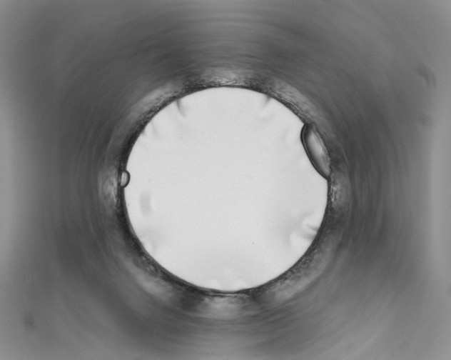 X0000111450072200908241215