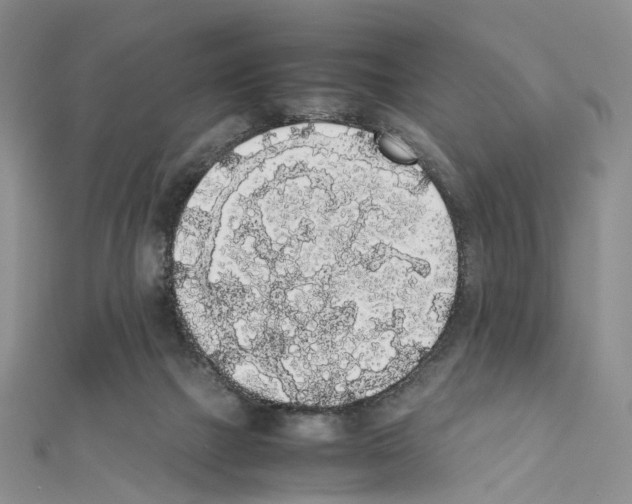 X0000111450073200908241215