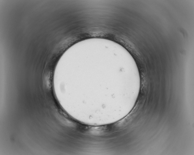 X0000111450074200908241215