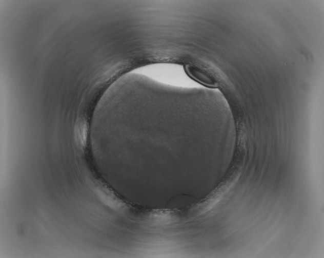 X0000111450076200908241215