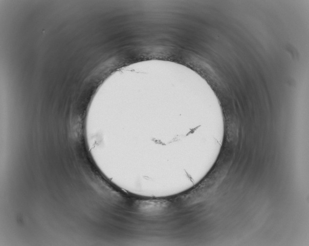 X0000111450077200908241215