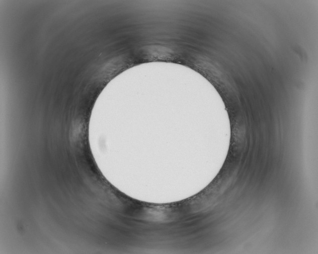 X0000111450079200908241215