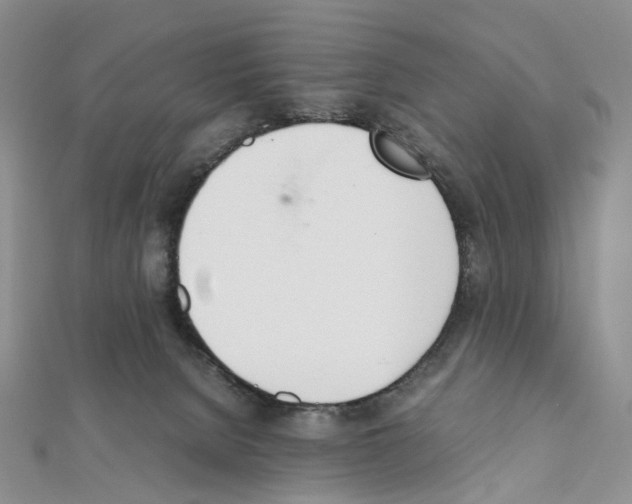 X0000111450080200908241215