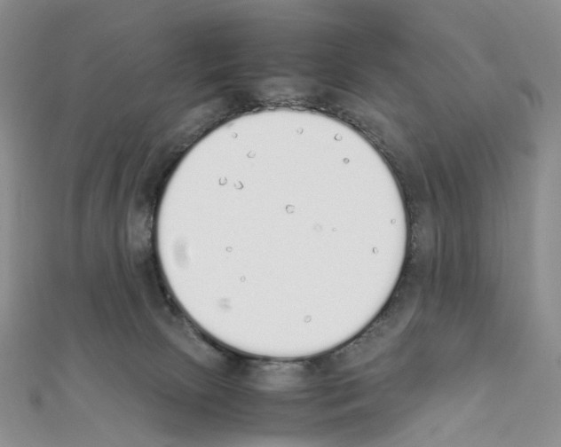 X0000111450081200908241215