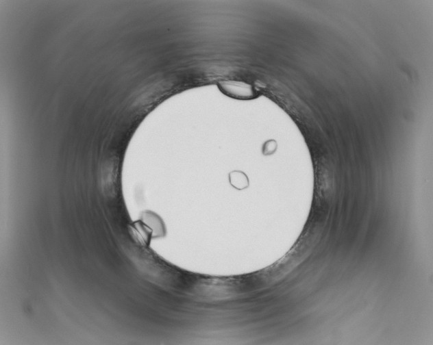 X0000111450082200908241215