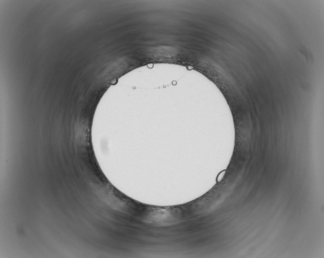 X0000111450083200908241215