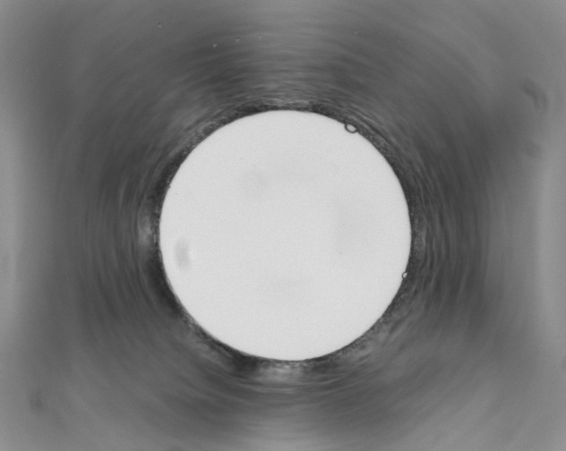 X0000111450084200908241215