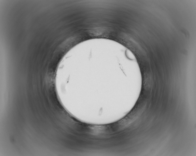 X0000111450085200908241215