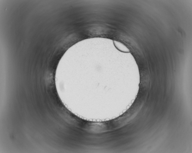 X0000111450087200908241215