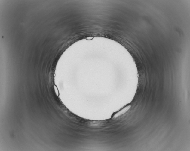 X0000111450088200908241215