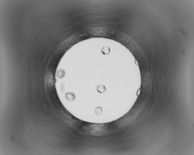 X0000111450089200908241215