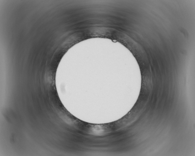 X0000111450091200908241215