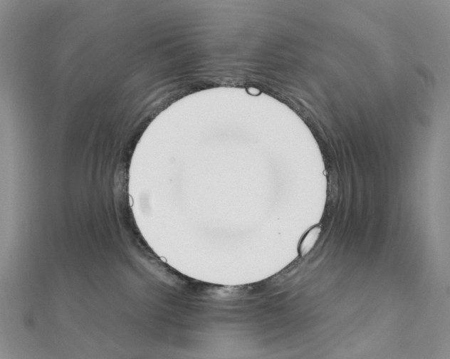 X0000111450092200908241215