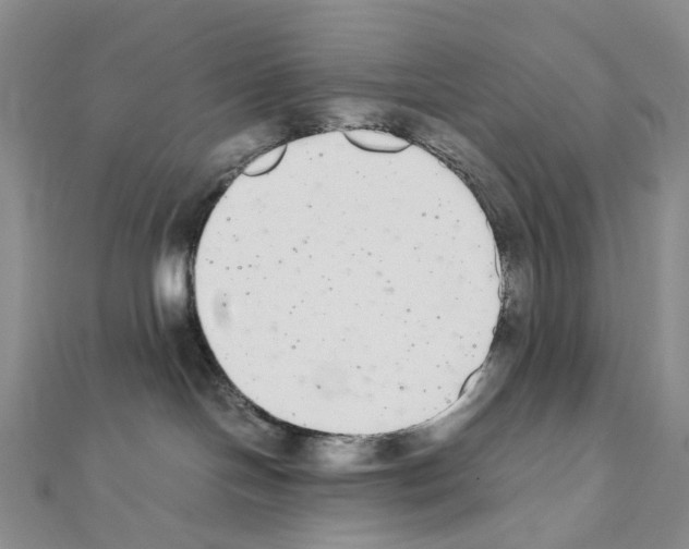 X0000111450094200908241215