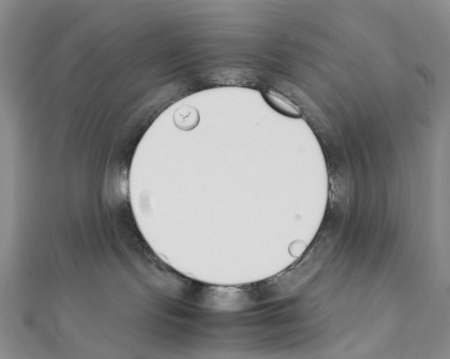 X0000111450095200908241215