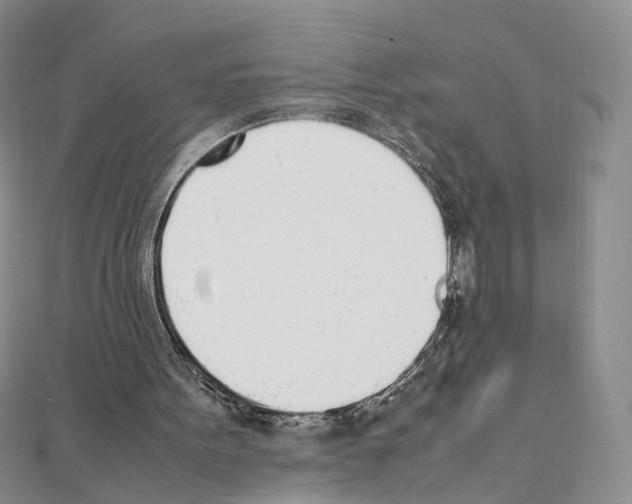 X0000111450099200908241215