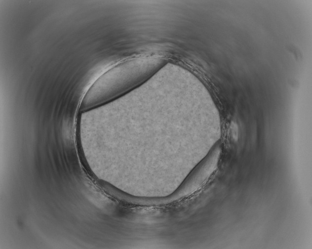 X0000111450100200908241215