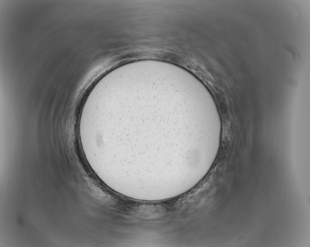 X0000111450101200908241215