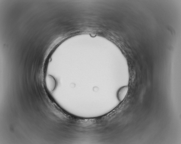 X0000111450102200908241215
