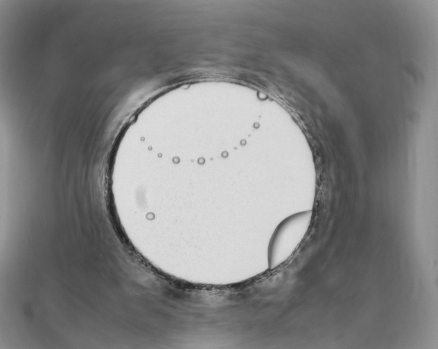 X0000111450103200908241215