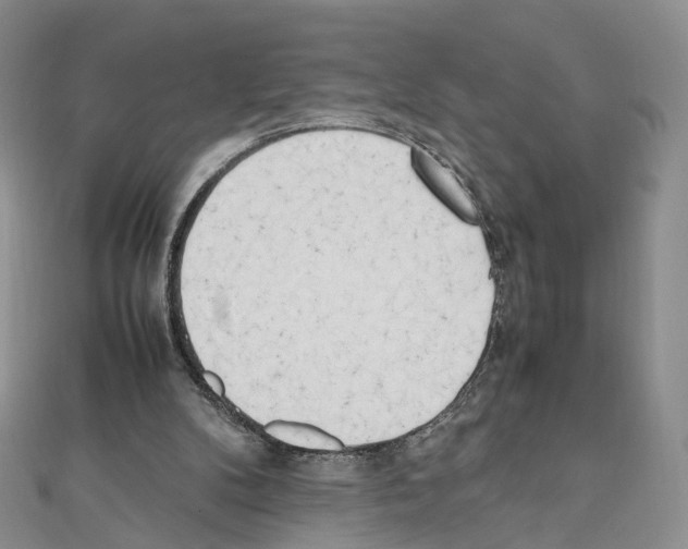 X0000111450104200908241215