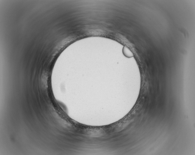 X0000111450106200908241215