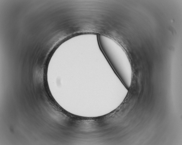 X0000111450108200908241214