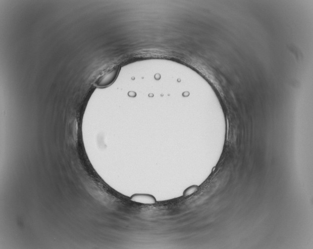 X0000111450109200908241214