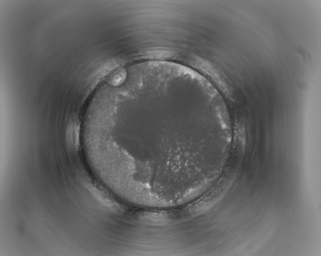X0000111450110200908241214