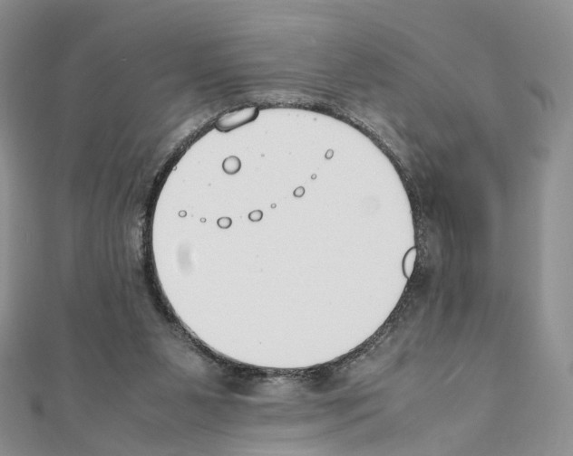 X0000111450111200908241214