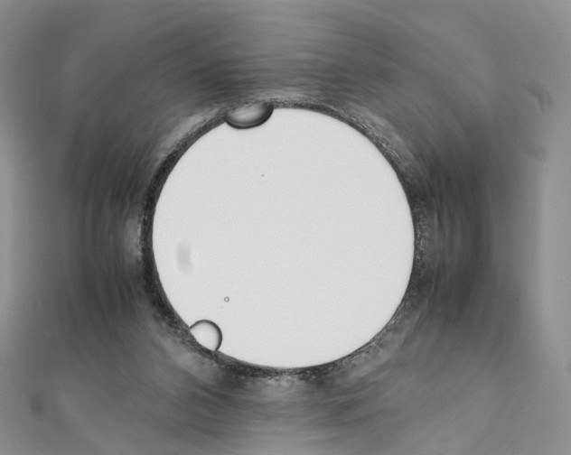 X0000111450112200908241214