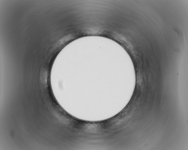 X0000111450115200908241214