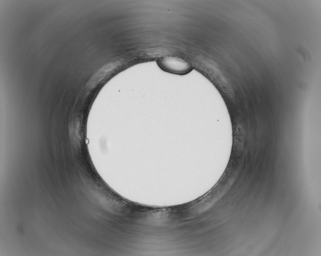 X0000111450116200908241214