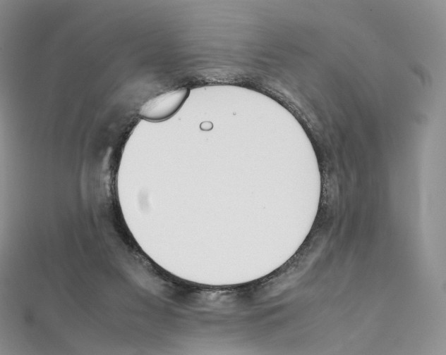X0000111450117200908241214