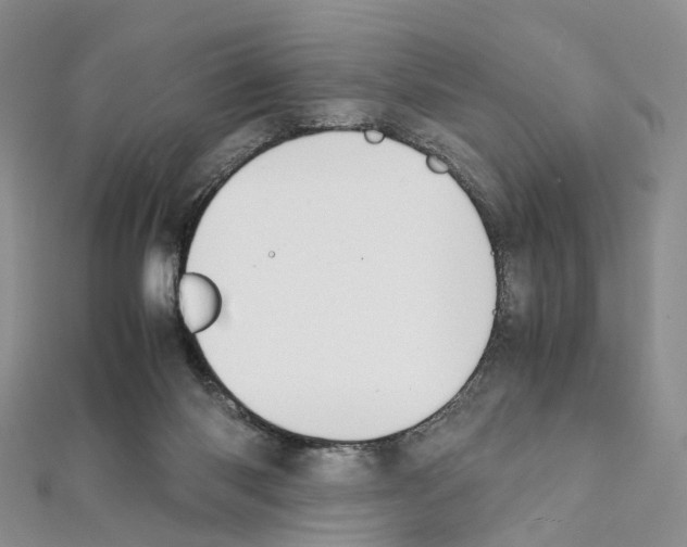 X0000111450118200908241214